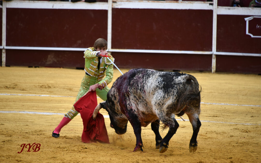 L&rsquo;ESTOCADE UNE INFINIE EVOLUTION.