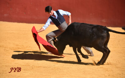 #OuiàlaCorrida : Les toreros s’engagent