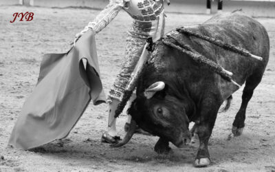 CLEMENTE DANS LA LUMIERE.