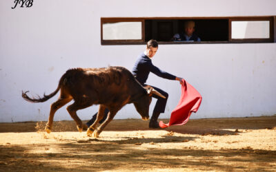 CONCOURS DE PHOTOS TAURINES DU DOMAINE DES ROMARINS