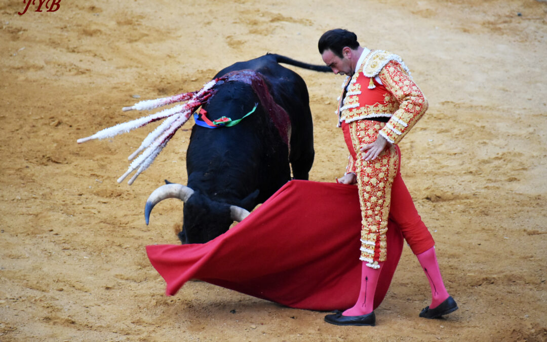 LE WEEK-END PROCHAIN : ARLES ET DAX