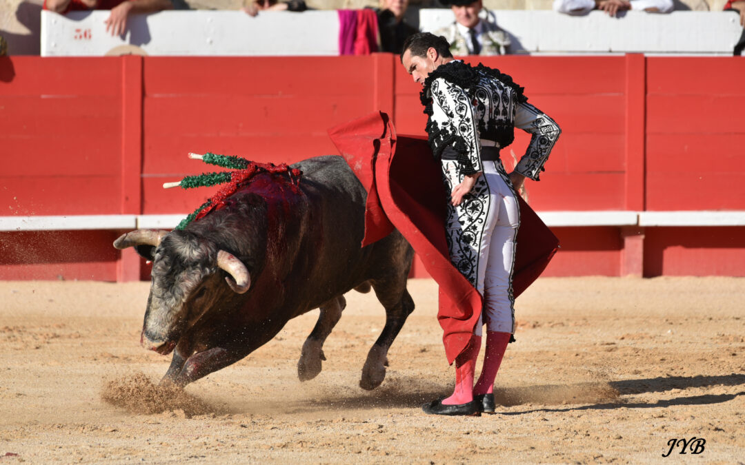 SEVILLE LA SAN MIGUEL !