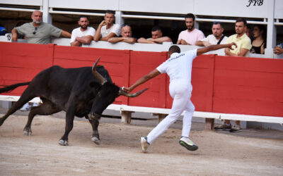 ARLES : N&rsquo;OUBLIONS PAS LA COURSE CAMARGUAISE !