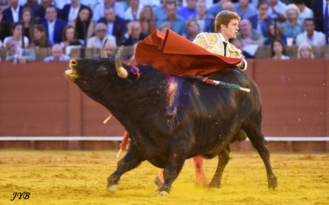 SARAGOSSE : LES CARTELS