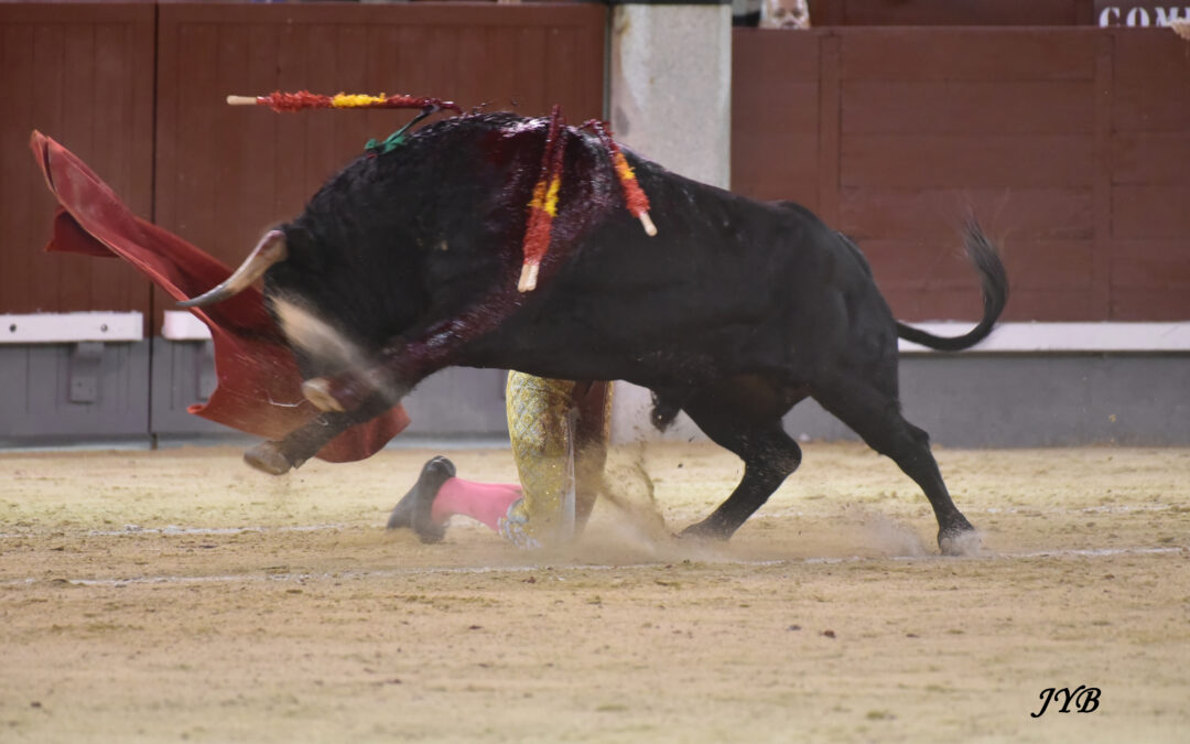 MADRID OTONO : NOVILLADA EXIGEANTE OU LES CUADRILLAS ONT BRILLE