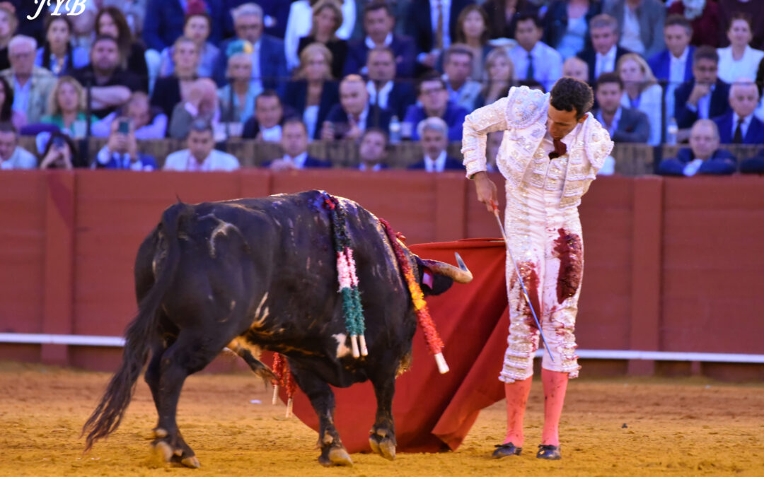 PHOTO DU JOUR : DAVID DE MIRANDA