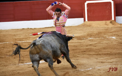 CARTELS DE MAI (2)