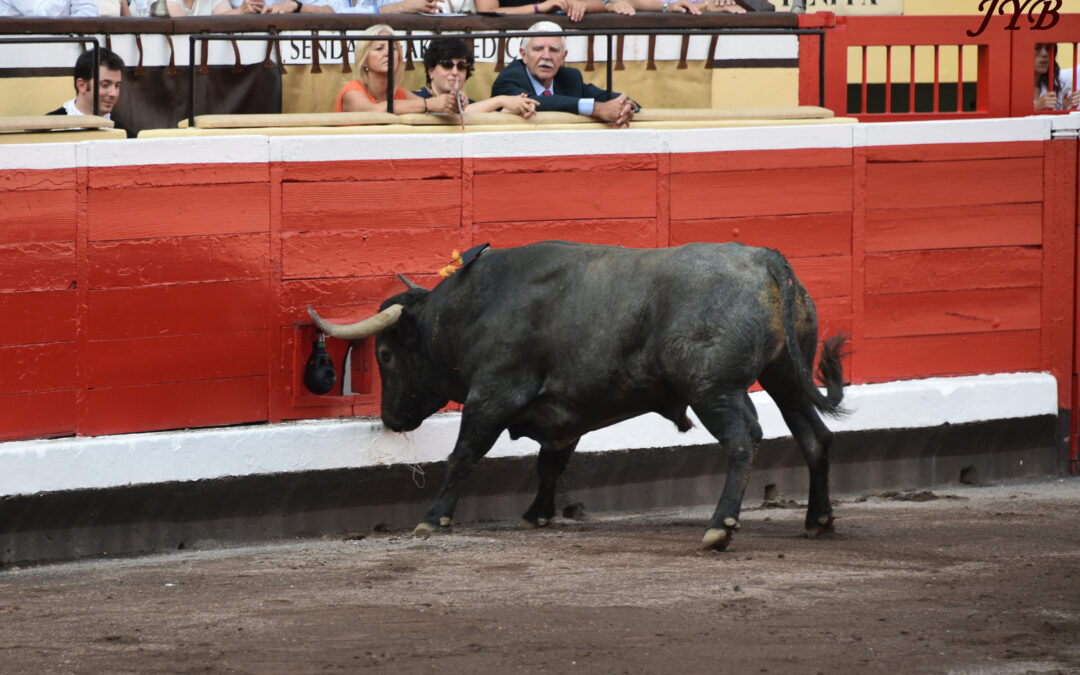 EN EXPLORANT LES ARCHIVES…