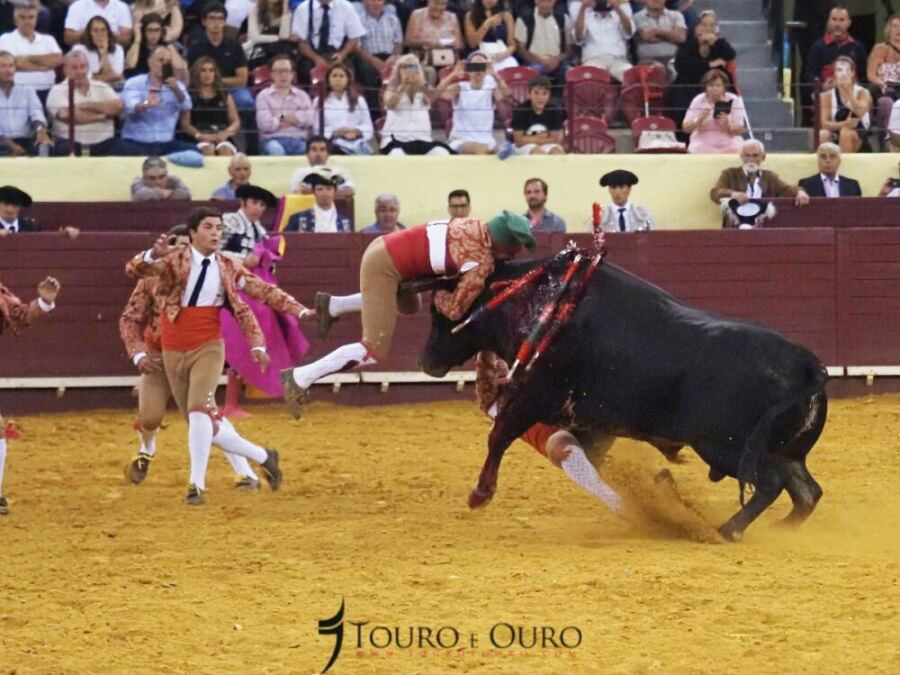 DRAMATIQUE DECES D’UN FORCADO