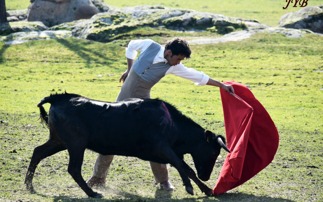 FLOR DE JARA : TIENTA A CAMPO ABIERTO