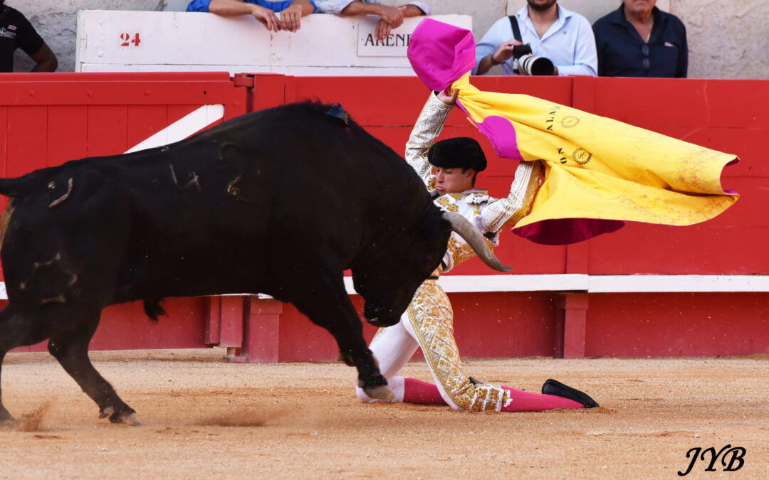 VENDANGES NÎMOISES : JANDILLA AU SOMMET !