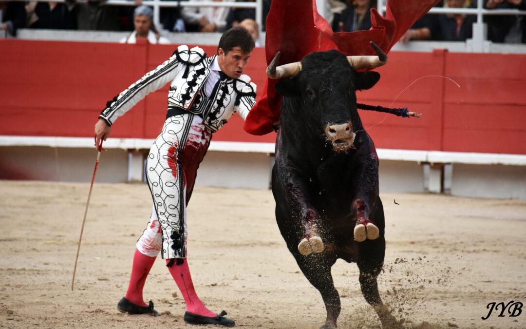 NÏMES : CARTELS DES VENDANGES.