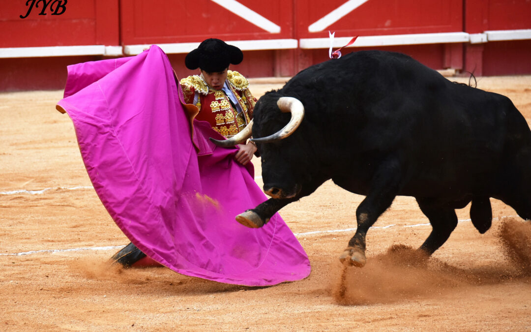 VENDANGES NIMOISES : CORRIDA MIXTE.