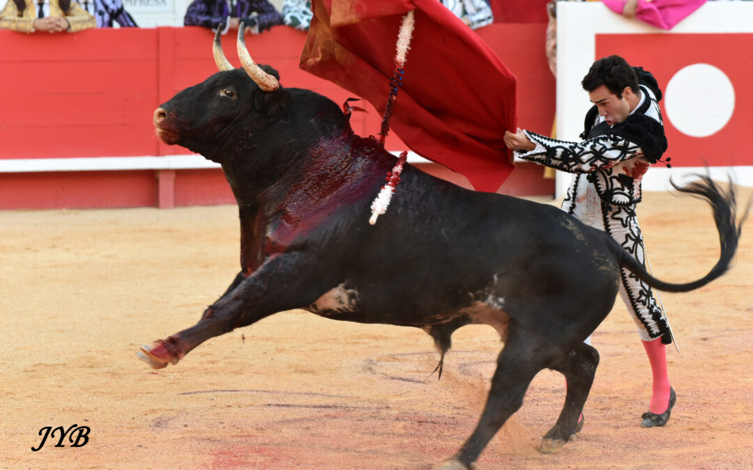 VENDANGES NÎMOISES : CARMEN.