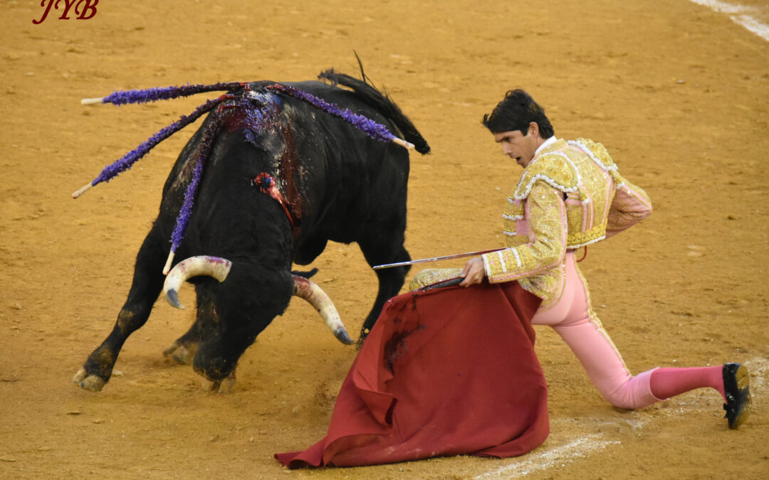 SARAGOSSE : POUR ATTENDRE LES COMPTES RENDUS COMPLETS :