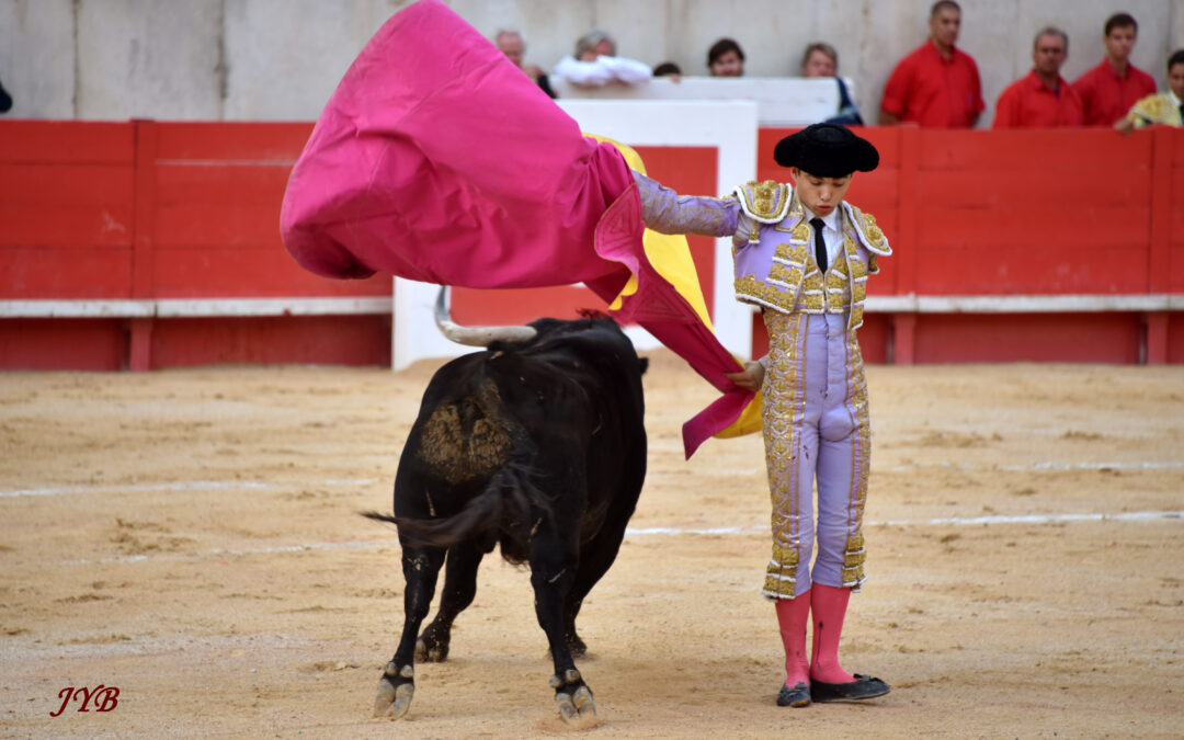 UN NOUVEAU FILM TAURIN A VOIR A PARIS !