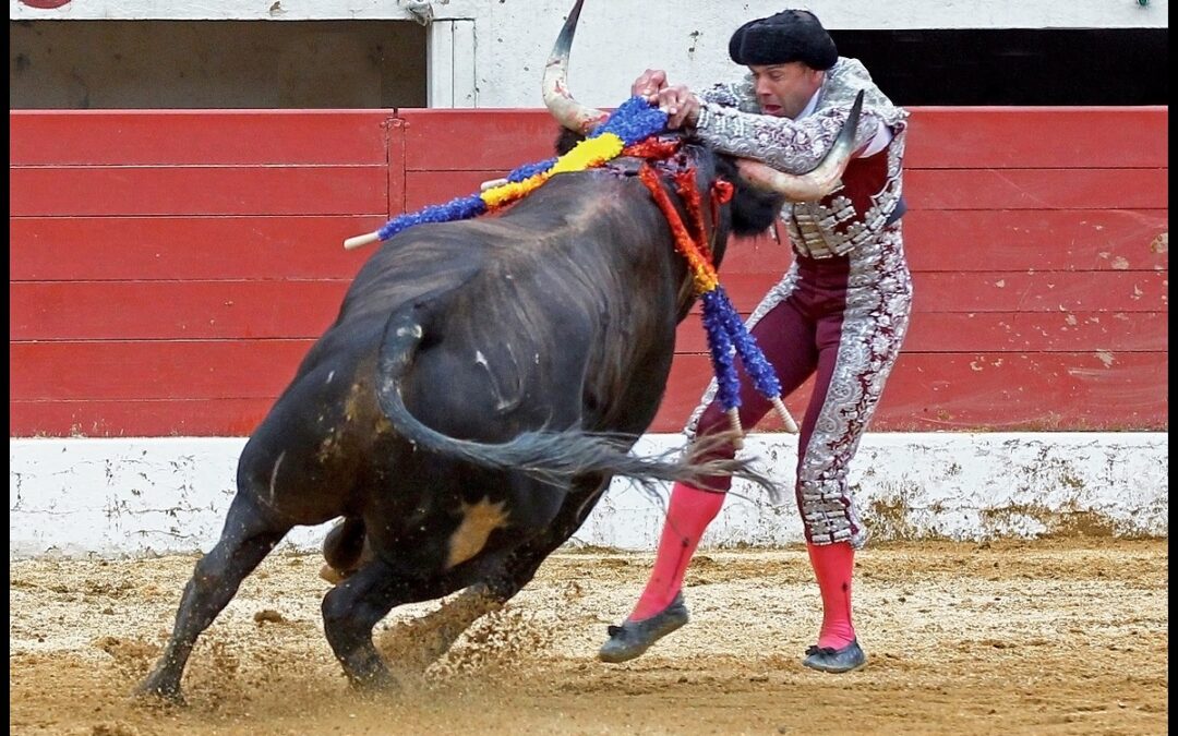 CONCOURS PHOTOS DU DOMAINE DES ROMARINS