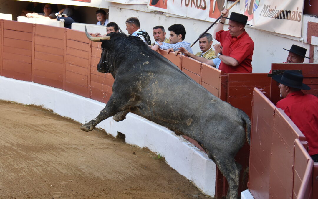 EL TORO DE MADRID : LISTES NOIRES ET BLANCHES