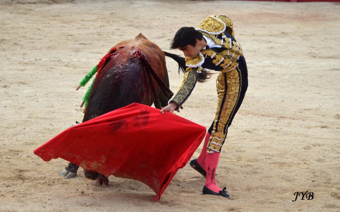 PHOTO DU JOUR : CEINTURE