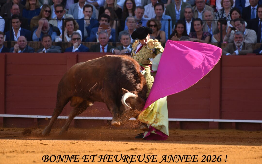 BONNE ET HEUREUSE ANNEE 2026 !