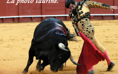 CLUB TAURIN DE PARIS : CONFERENCE DE VOTRE SERVITEUR !