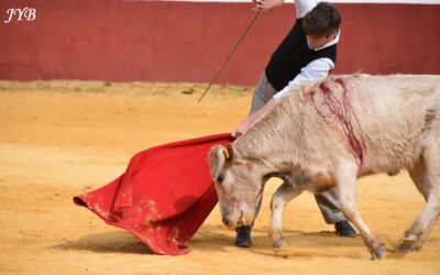 DERNIER RETOUR AU CAMPO