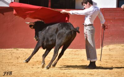 AU CAMPO AVEC CHRISTIAN PAREJO (SUITE)