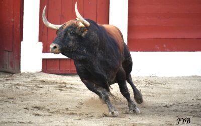 COLLOQUE IMPORTANT A PAMPELUNE !