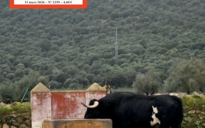 TOROS N°2259 PARAIT CE VENDREDI 13 MARS