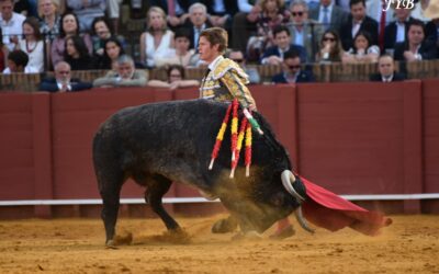 VICTORINADA SANS ECLAT