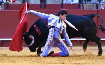 NOUVELLE TARDE DE DOULEUR !