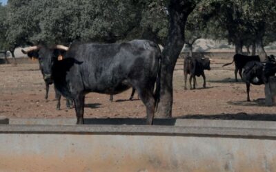 TOROS N° 2261 PARAIT CE VENDREDI 10 AVRIL
