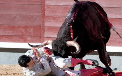 TOROS 2162 PARAIT CE VENDREDI 23 AVRIL