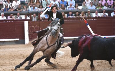 MADRID : REJON DE CLASSE