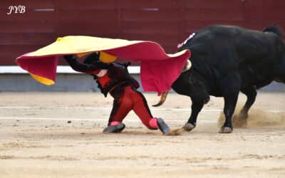 MADRID, CLEMENTE : SAN ISIDRO ENCORE AU QUITE !