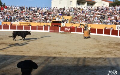CERET : QUE DONNE L’EXPERIMENTATION ?