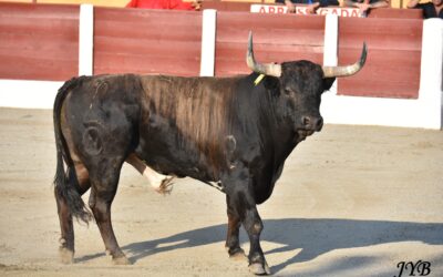 CERET : DOLORES AGUIRRE