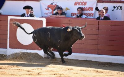 RETOUR A ORTHEZ : RASO DE PORTILLO