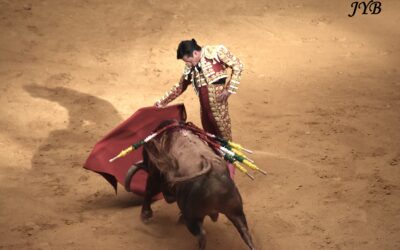 LOGRONO : JUAN PEDRO DOMECQ ET DIEGO URDIALES