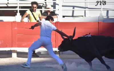 ARLES : CADENAS AU DESSUS DU LOT DANS LA CAMARGUAISE