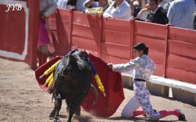 ARLES : NOVILLADA NON PIQUEE