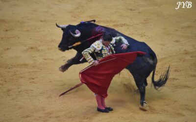 PHOTO DU JOUR : LOGRONO CORRIDA CONCOURS ?