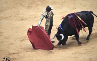 RETOUR A LOGRONO : CORRIDA CONCOURS