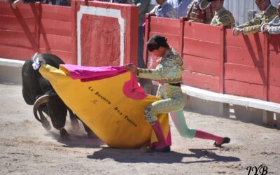 MESSAGE D&rsquo;UN JEUNE TORERO